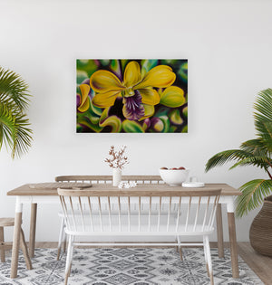 Mana - Orchid Flower Oil Painting