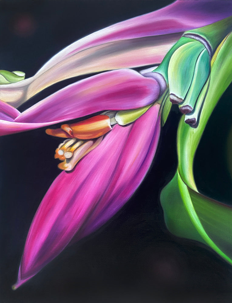 Ornamental Banana Flower Painting