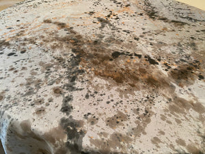 NEUTRAL  85" Square Tablecloth