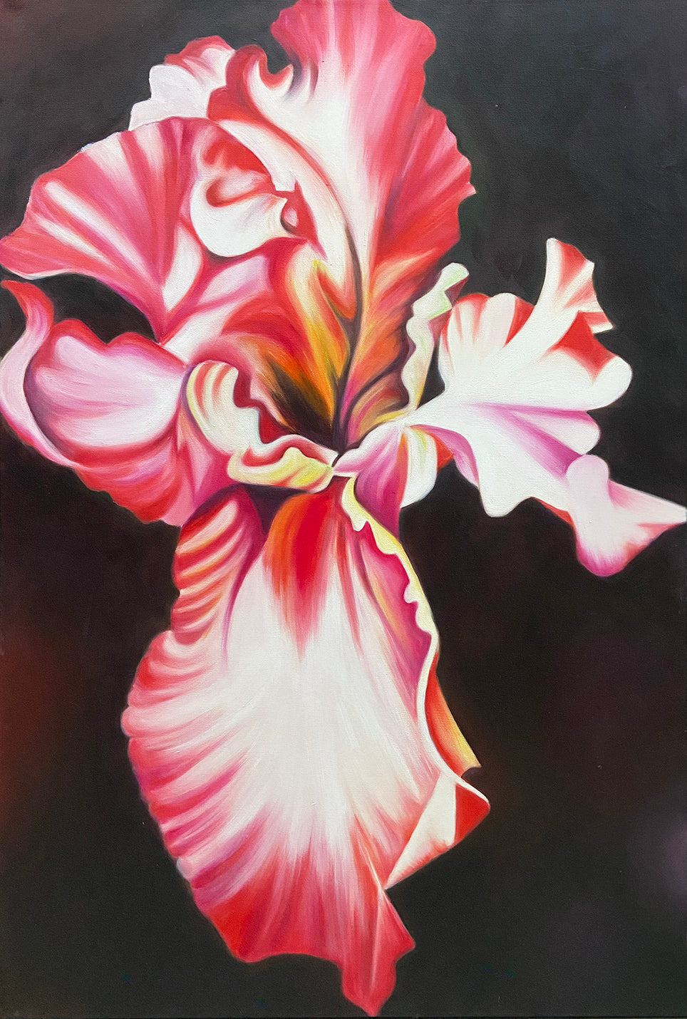 Isis Iris - Flower Oil Painting