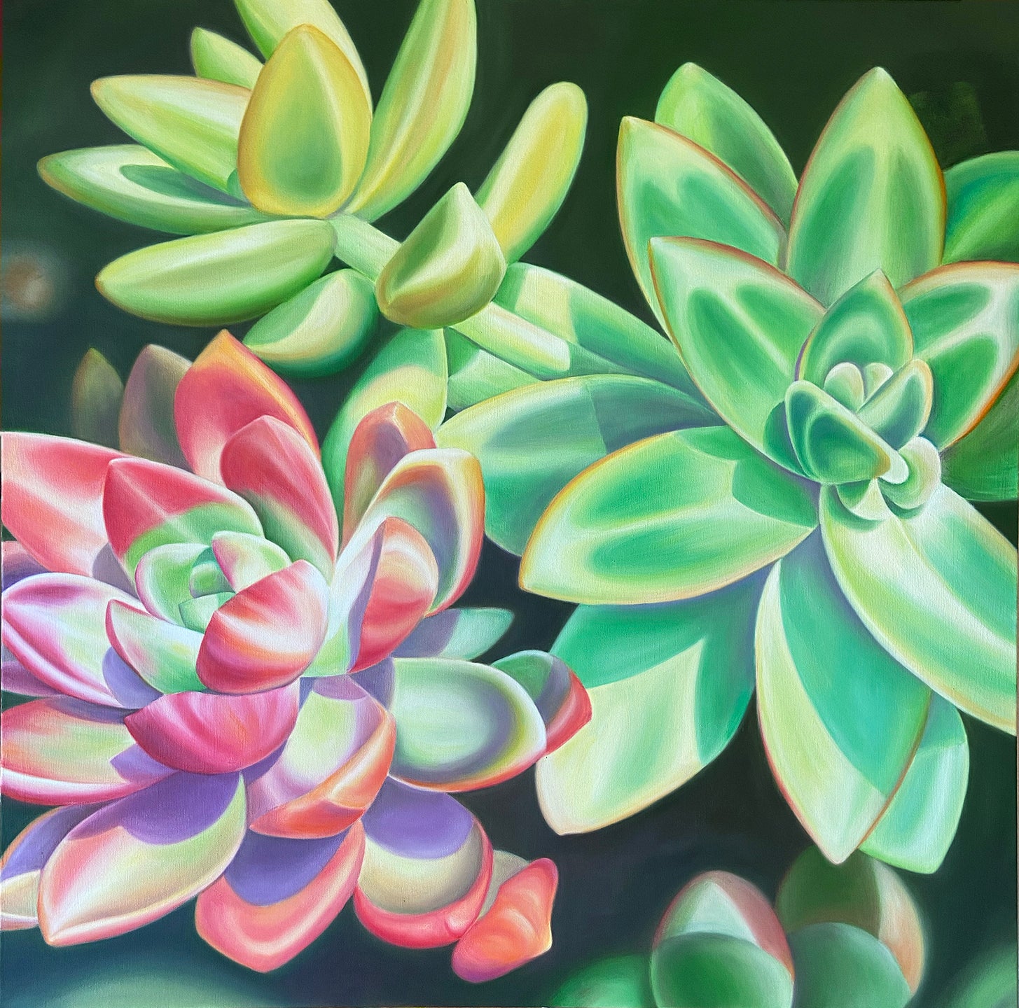 San Diego Succulents - flower oil painting