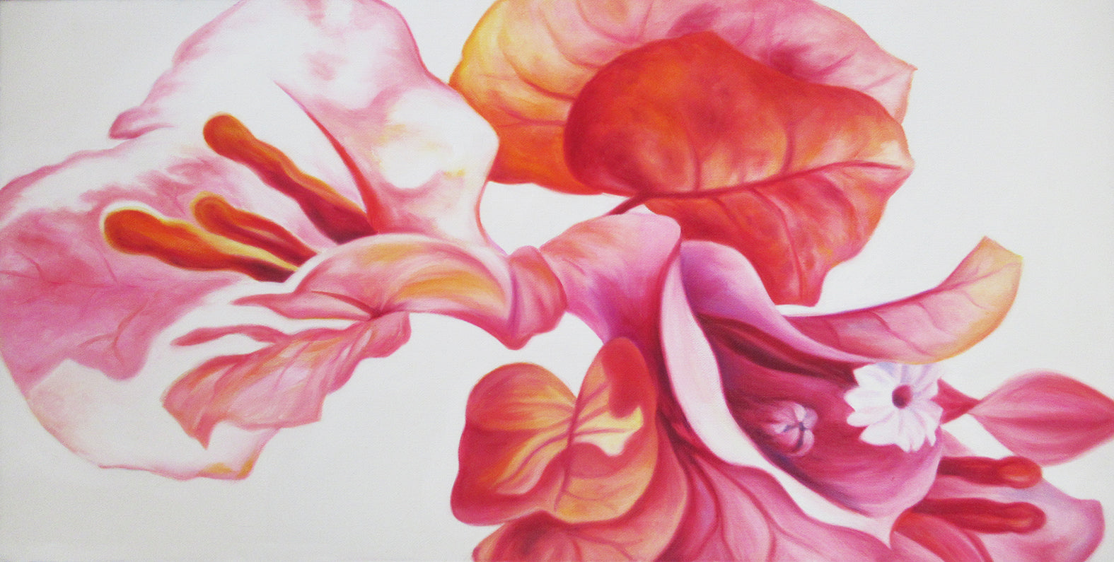 Delight - Pink Bougainvillea Flower Oil Painting