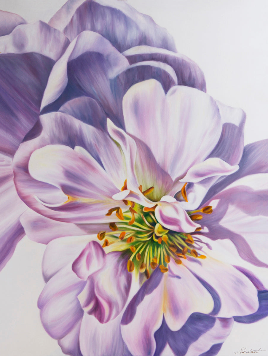 Here Now - White Rose Flower Oil Painting