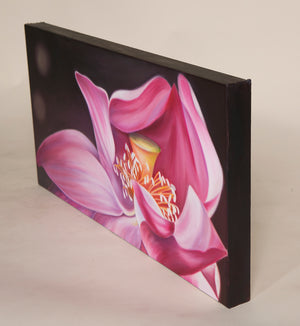 Hidden Gem - Pink Lotus Flower Oil Painting