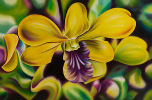 Mana - Orchid Flower Oil Painting