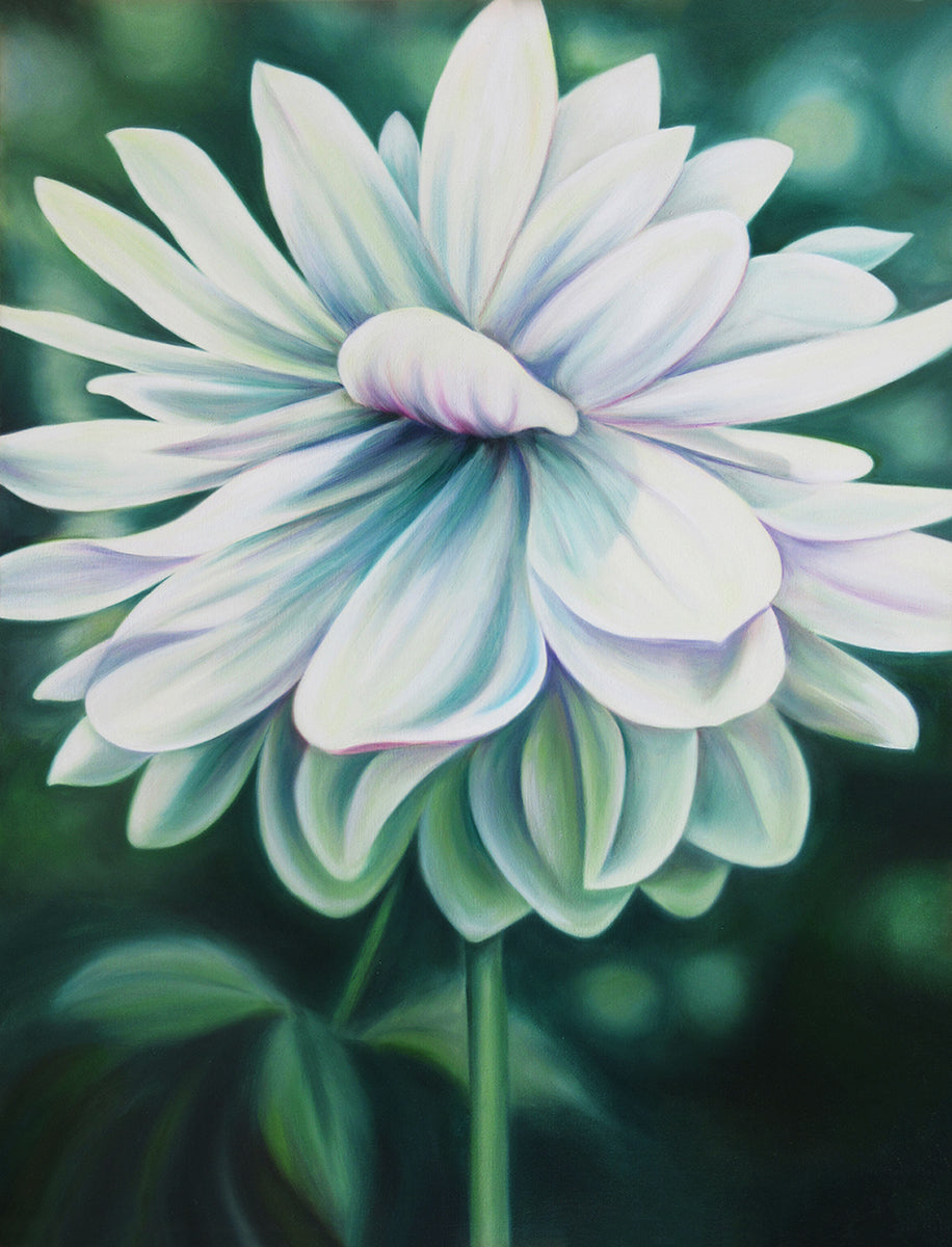 Peace - Dahlia Flower Oil Painting
