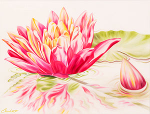 Reflections - Waterlily Flower Oil Painting
