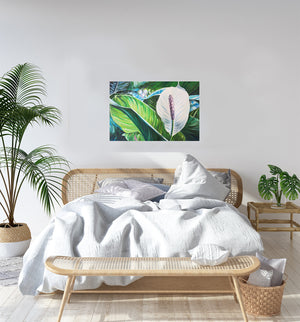 Maluhia - White Flower Oil Painting