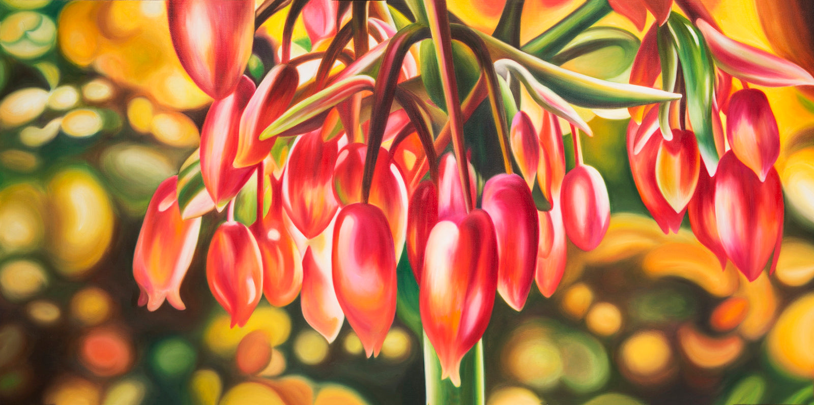 Mother of a Million Tears - Flower Oil Painting